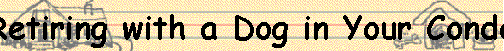  Retiring with a Dog in Your Condo 