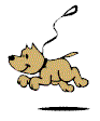 New York leash laws New York leash law